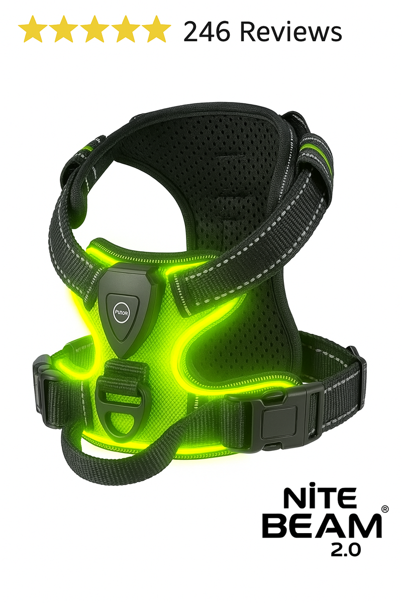 LED Glow Dog Harness Protect Your Dog on Every Night Walk Rechargeable LED harness keeps them visible & Safe Three LED Light Modes. ON SALE LOW STOCK!