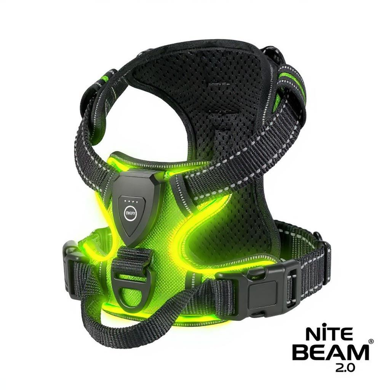 Nite Beam 2.0 Glow Safety harness - Protect your pet on night walks