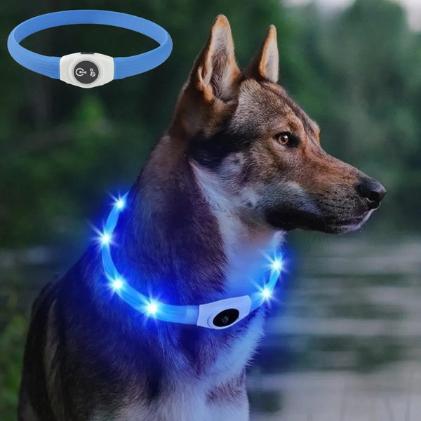 Bright Glow Dog Collar
