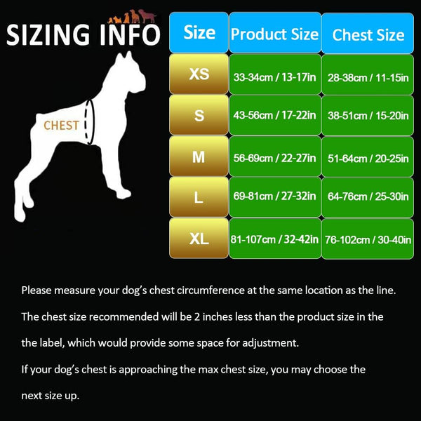 Night Beam 2.0 - Dog Safety Harness