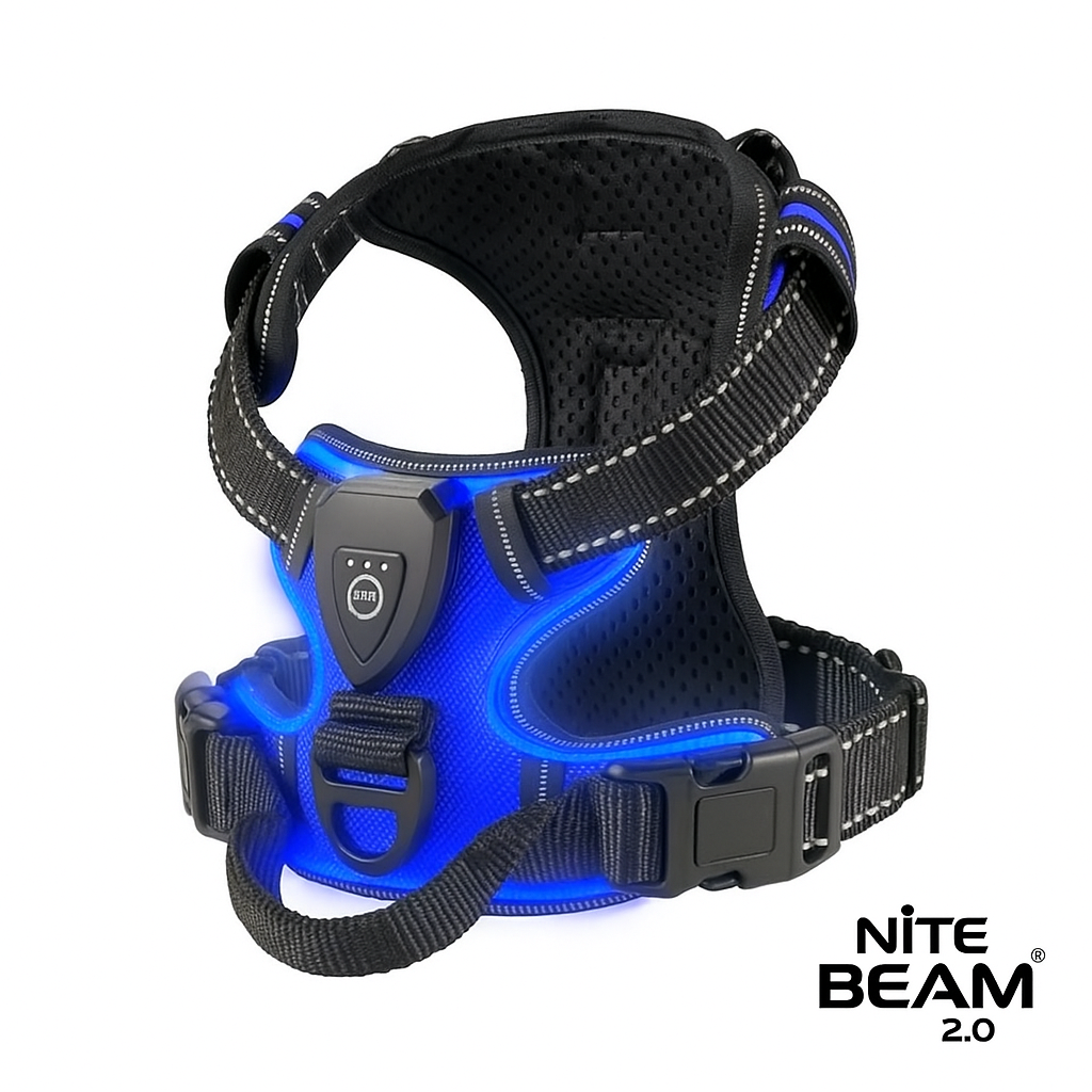 LED Glow Dog Harness Protect Your Dog on Every Night Walk Rechargeable LED harness keeps them visible & Safe Three LED Light Modes. ON SALE LOW STOCK!