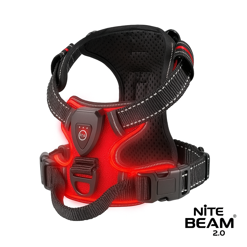 LED Glow Dog Harness Protect Your Dog on Every Night Walk Rechargeable LED harness keeps them visible & Safe Three LED Light Modes. ON SALE LOW STOCK!