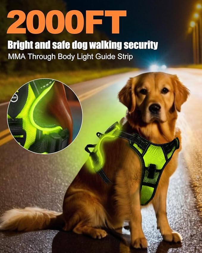 Nite Beam 2.0 Glow Safety harness - Protect your pet on night walks