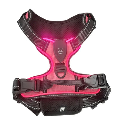 LED Glow Dog Harness Protect Your Dog on Every Night Walk Rechargeable LED harness keeps them visible & Safe Three LED Light Modes. ON SALE LOW STOCK!