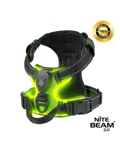 Nite Beam 2.0 Glow Safety harness - Protect your pet on night walks