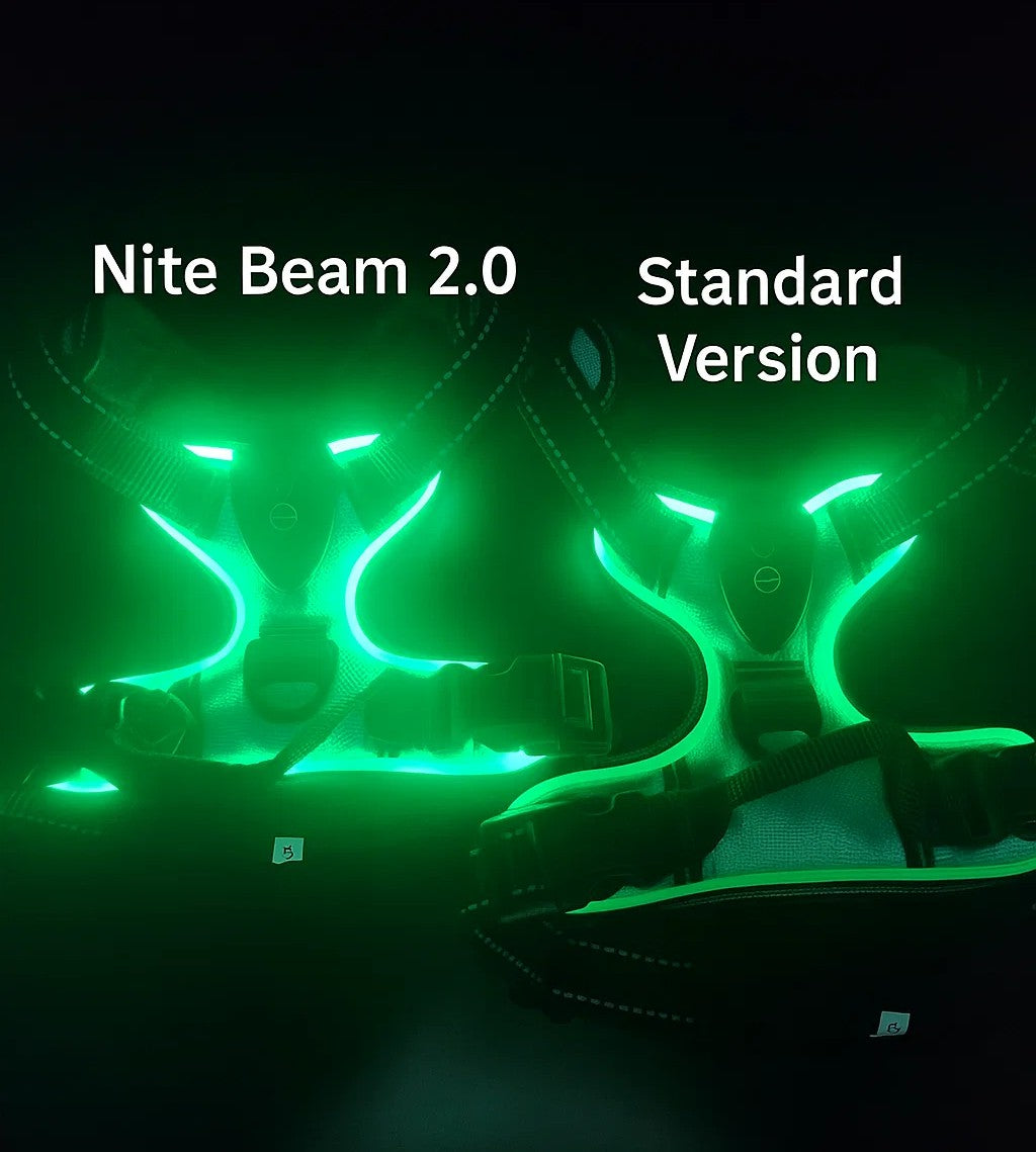 Nite Beam 2.0 Glow Safety harness - Protect your pet on night walks