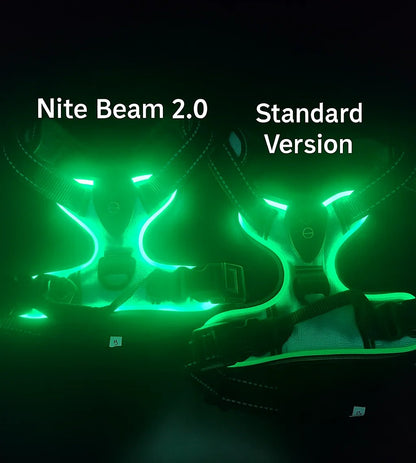 Nite Beam 2.0 Glow Safety harness - Protect your pet on night walks