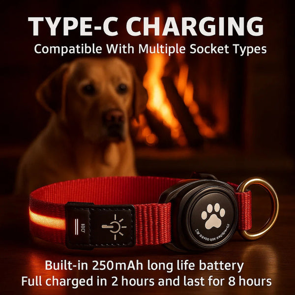 Bright LED Dog Collar with AirTag