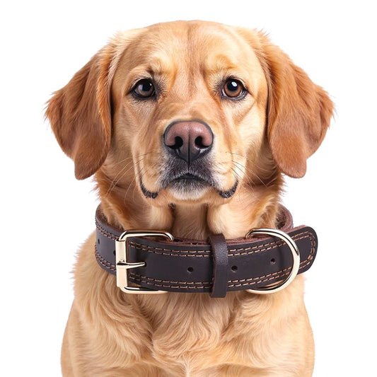 Vintage Leather Dog Collar