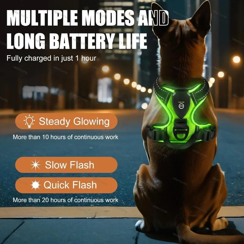 LED Glow Dog Harness Protect Your Dog on Every Night Walk Rechargeable LED harness keeps them visible & Safe Three LED Light Modes. ON SALE LOW STOCK!