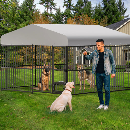 Ultimate Outdoor Dog Shelter