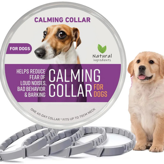 Calm & Cozy Pheromone Collar