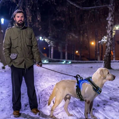 Nite Beam 2.0 Glow Safety harness - Protect your pet on night walks